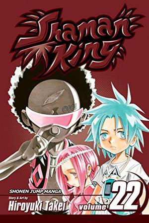 Shaman King, Vol. 22: Epilogue III (Shaman King #22)