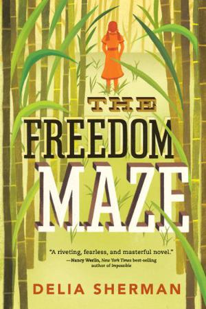 The Freedom Maze by Delia Sherman
