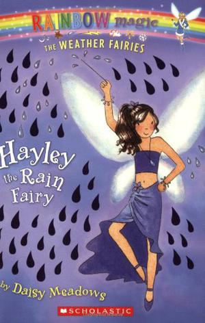 Hayley The Rain Fairy (Rainbow Magic #14)