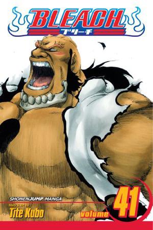 Bleach, Volume 41 (Bleach #41)