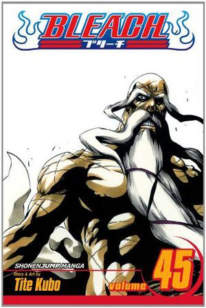 Bleach, Volume 45 (Bleach #45)