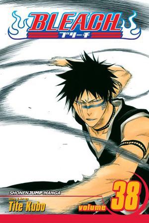 Bleach, Volume 38 (Bleach #38)