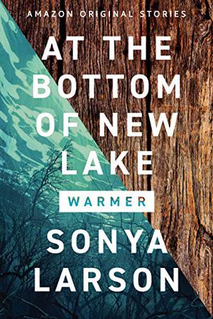 At the Bottom of New Lake (Warmer #6)