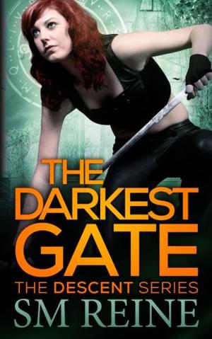 The Darkest Gate by S.M. Reine