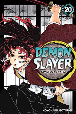 Demon Slayer: Kimetsu no Yaiba, Vol. 20 (鬼滅の刃 / Kimetsu no Yaiba #20)