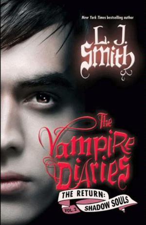 Shadow Souls (The Vampire Diaries: The Return #2)