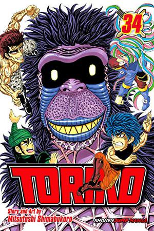 Toriko, Vol. 34: The King Playing Around!! (トリコ [Toriko] #34)