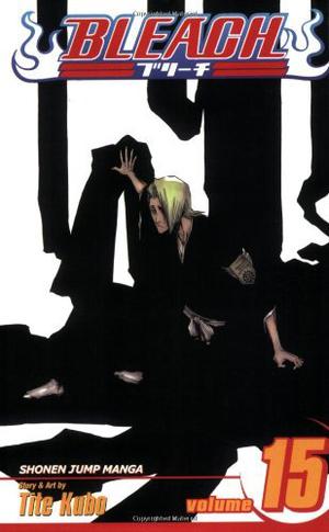Bleach, Volume 15 (Bleach #15)