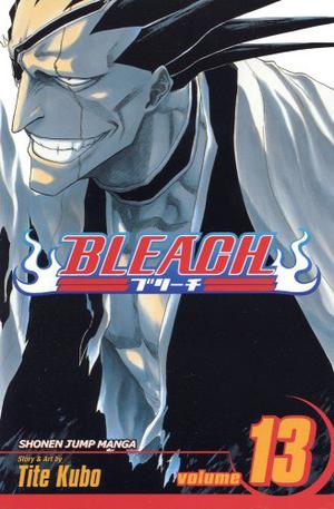 Bleach, Volume 13 (Bleach #13)