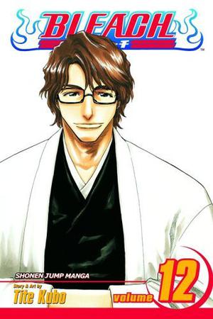 Bleach, Volume 12 (Bleach #12)