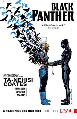 Black Panther, Vol. 3: A Nation Under Our Feet, Book Three by Ta-Nehisi Coates, Brian Stelfreeze, Chris Sprouse