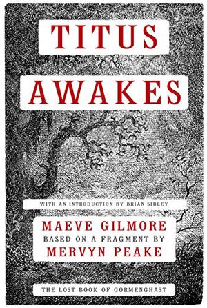 Titus Awakes: The Lost Book of Gormenghast by Maeve Gilmore, Mervyn Peake