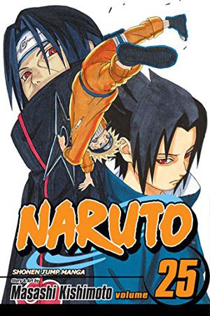 Naruto, Vol. 25: Brothers (Naruto #25)