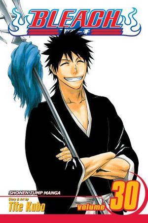 Bleach, Volume 30 (Bleach #30)