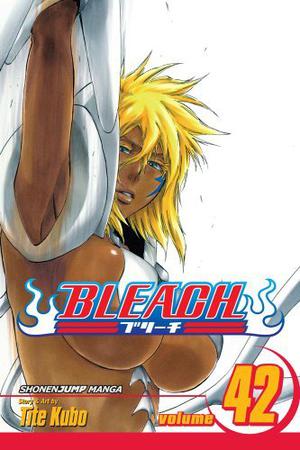 Bleach, Volume 42 (Bleach #42)