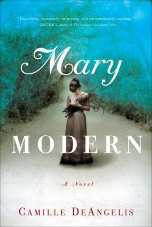 Mary Modern by Camille DeAngelis