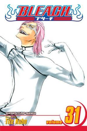 Bleach, Volume 31 (Bleach #31)