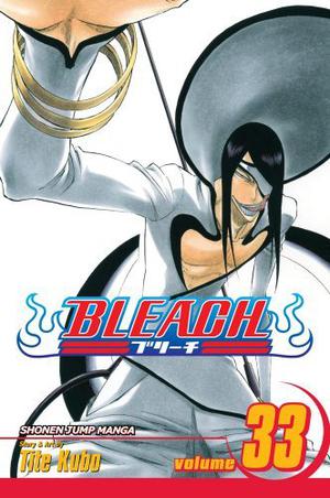 Bleach, Volume 33 (Bleach #33)