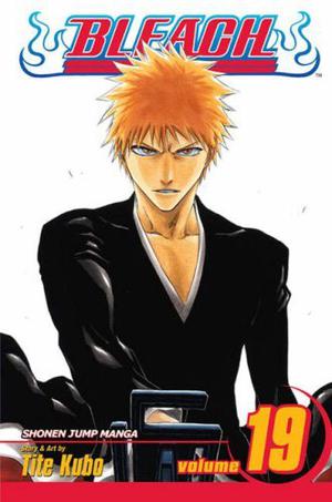 Bleach, Volume 19 (Bleach #19)