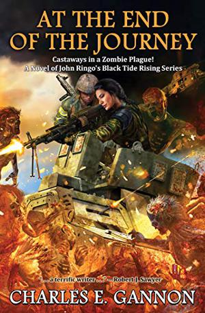 At the End of the Journey (Black Tide Rising #8)