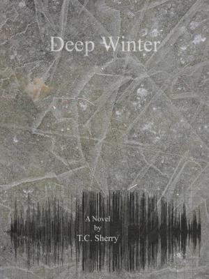 Deep Winter by T.C. Sherry