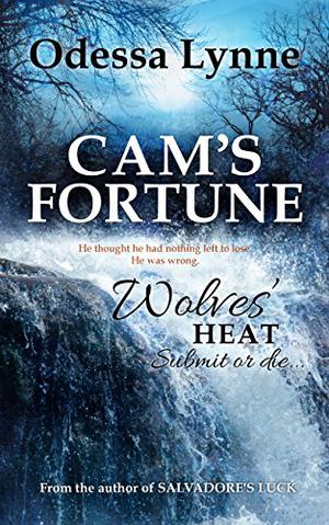 Cam's Fortune (Wolves' Heat #6)