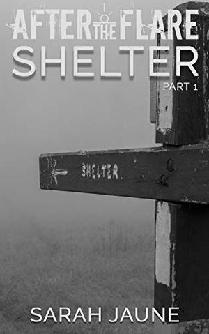 Shelter by Sarah Jaune