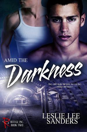 Amid the Darkness (Refuge Inc. #2)