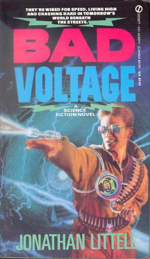 Bad Voltage by Jonathan Littell
