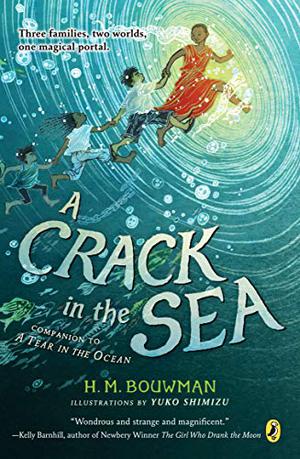 A Crack in the Sea by H.M. Bouwman, Yuko Shimizu