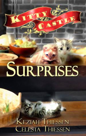 Surprises! (Kitty Castle #2)