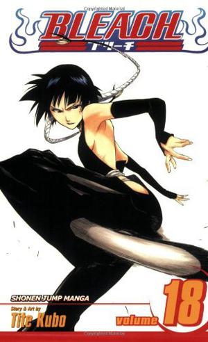 Bleach, Volume 18 (Bleach #18)