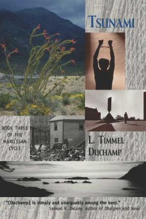 Tsunami by L. Timmel Duchamp