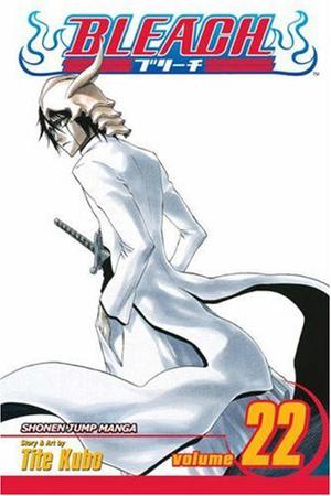 Bleach, Volume 22 (Bleach #22)