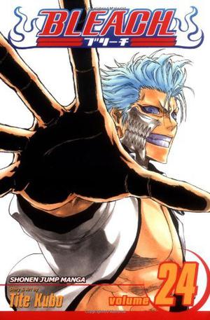 Bleach, Volume 24 (Bleach #24)