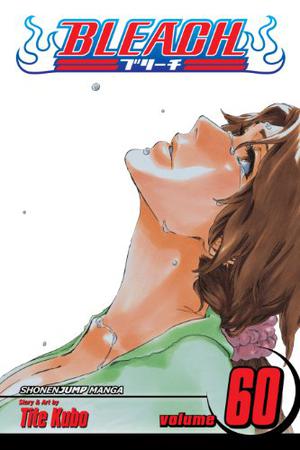 Bleach, Volume 60 (Bleach #60)
