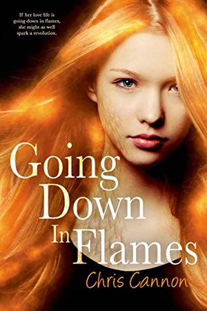 Going Down in Flames (Going Down in Flames #1)