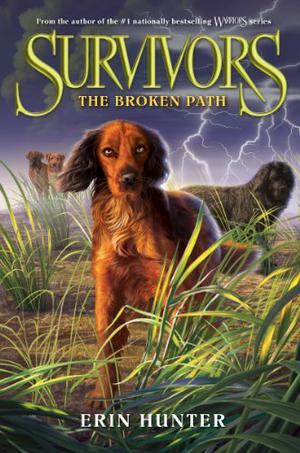 The Broken Path (Survivors #4)