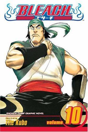 Bleach, Volume 10 (Bleach #10)