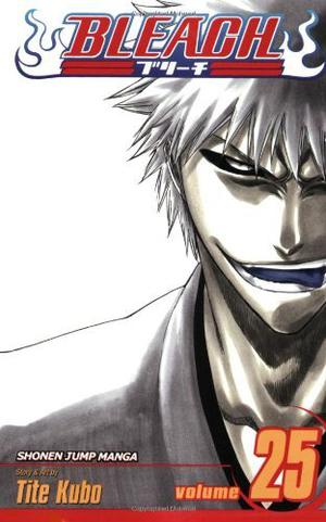 Bleach, Volume 25 (Bleach #25)