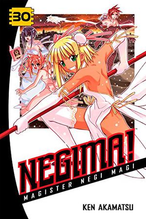 Negima! Magister Negi Magi, Vol. 30 (Negima! Magister Negi Magi #30)