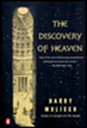 The Discovery of Heaven by Harry Mulisch