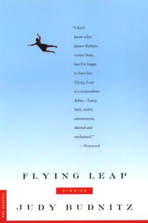 Flying Leap by Judy Budnitz