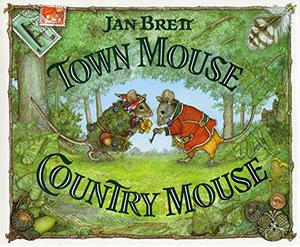 Town Mouse, Country Mouse by Jan Brett