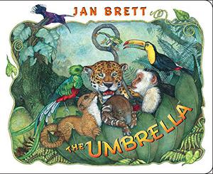 The Umbrella by Jan Brett