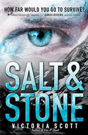 Salt & Stone by Victoria Scott