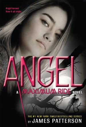Angel (Maximum Ride #7)