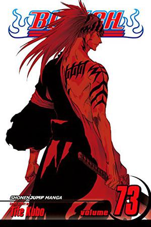 Bleach, Volume 73 (Bleach #73)