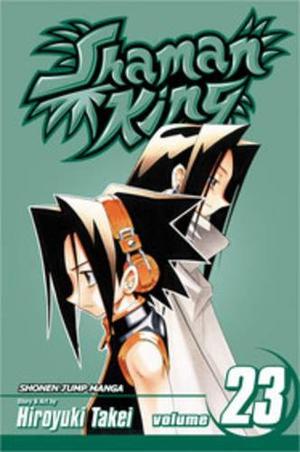 Shaman King, Vol. 23: Epilogue IV (Shaman King #23)