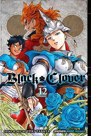 Black Clover, Vol. 12 (ブラッククローバー [Black Clover] #12)